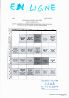 Emploi du temps - COURS en LIGNE.pdf